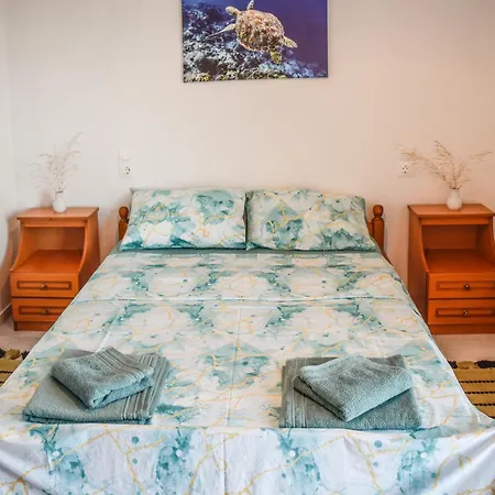 Nest View House *