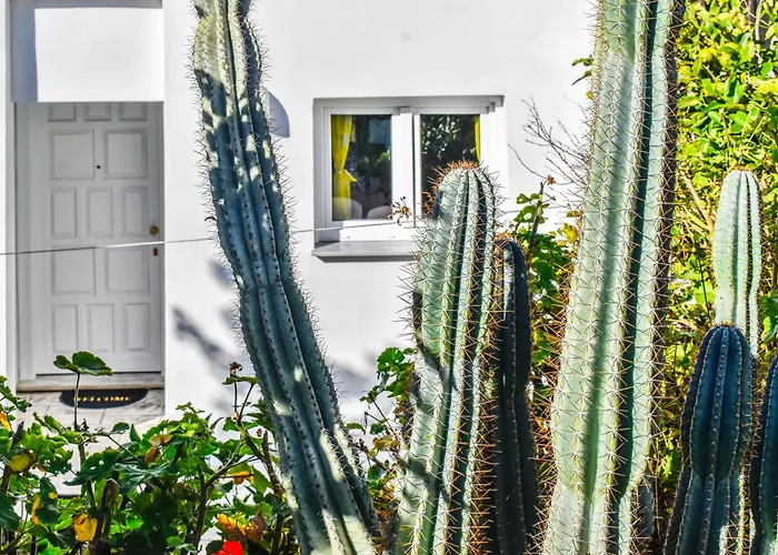 Apartament Nest View House