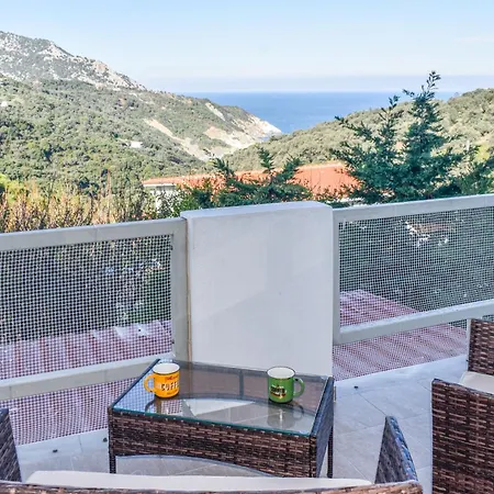 公寓 Nest View House 斯基亚索斯镇