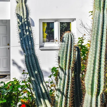 公寓 Nest View House